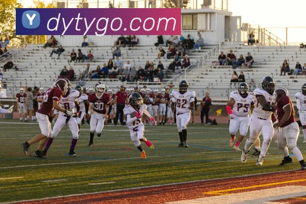 德赢体育APP 封面图